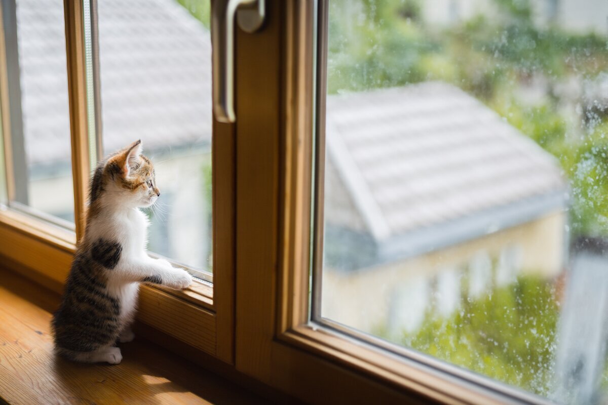 Hvor mye koster nye vinduer i 2025? Prisguide og tips til å spare penger