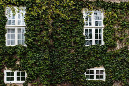 Sesongbasert vedlikehold: Vår- og høstsjekkliste for vinduer og dører